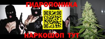 наркотики Новозыбков