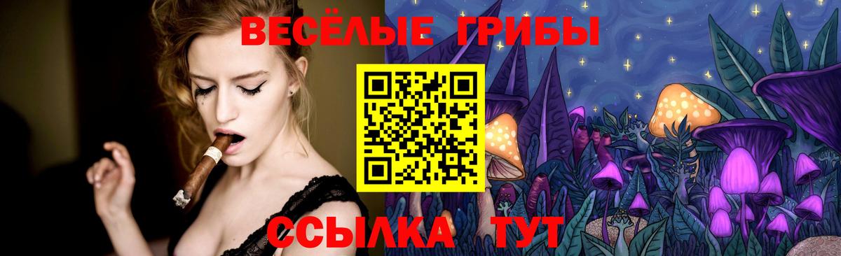 Тулун  Галлюциногенные грибы MAGIC MUSHROOMS  Галлюциногенные грибы мухоморы  Вход с VPN 